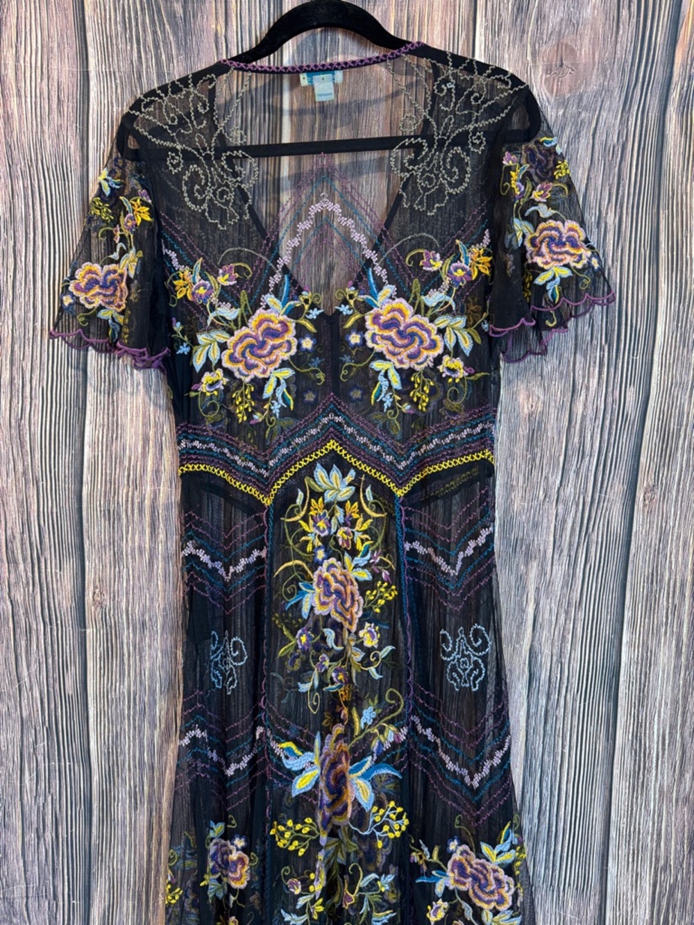 Sundance Lady Annie Embroidered Mesh Dress - Picture 6 of 12